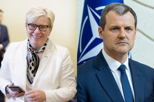 Skaičiai – iškalbingi: reitingų lentelėje žemyn čiuožiantį G. Palucką jau aplenkė I. Šimonytė