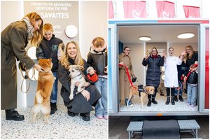 Dažna dilema – augintinių mityba: beveik 5 tūkst. šeimininkų suteiktos nemokamos konsultacijos