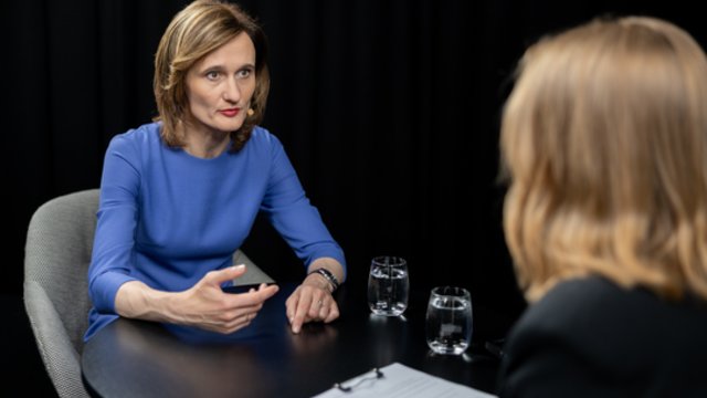 V. Č. Nielsen teigimu, G. Palucką nuolat lydi įvairios schemos: dabar aišku, kodėl jis dengia R. Žemaitaitį