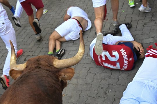 Per bulių bėgimą pietų Prancūzijoje žuvo žiūrovas