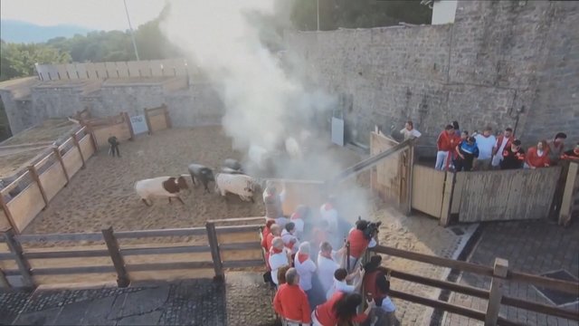 Bėgimas su buliais Ispanijoje baigėsi nelaime: keturi sužeistieji atsidūrė ligoninėje