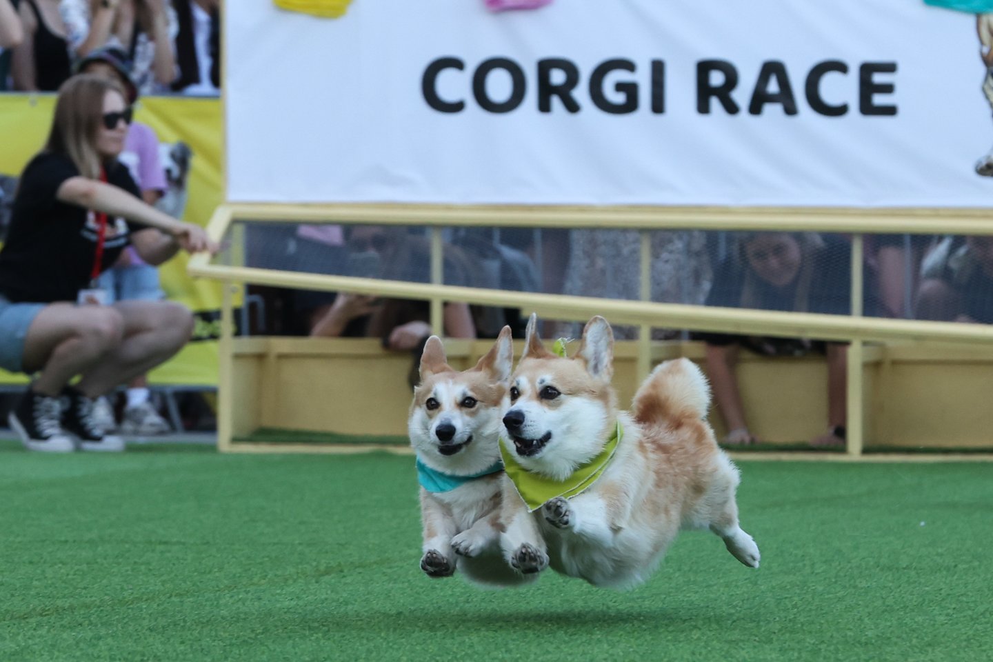 R. Danisevičiaus nuotr.