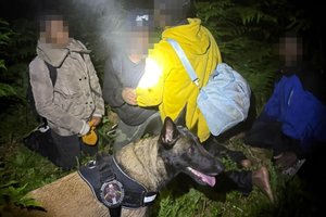 Lietuvos pasieniečių šuo vėl sulaikė į Latviją iš Baltarusijos įsibrovusius migrantus