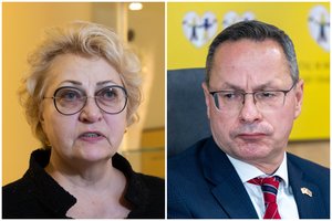 Nuskriaudė R. Budbergytę? Išgirdęs apie socialdemokratų kaltinimus Ž. Pavilionis nesulaikė juoko