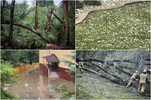 Lenkiją vėl talžė audros: po galingos krušos ir išvartytų medžių – nauji sinoptikų perspėjimai