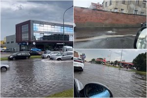 Liūtis lietuvą nuskalavo be gailesčio: po vaizdų iš Vilniaus – Klaipėdos šauksmas