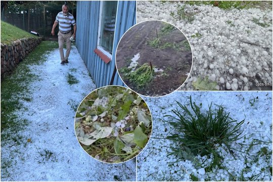 Talžiusi kruša nuniokojo visą puoselėtą sodą: „Per 73 metus tokio dalyko nesu matęs“