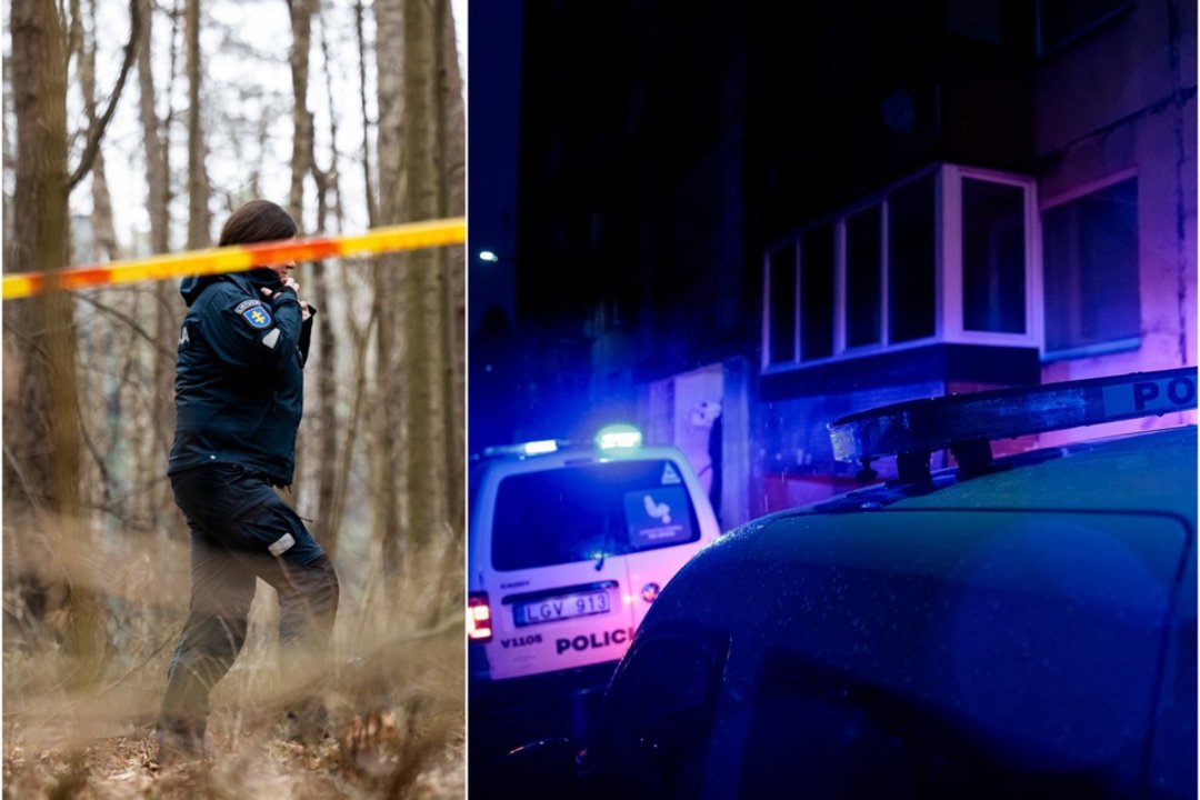 Kruvinos skerdynės pribloškė kaimą: uždaužę senolius laužtuvu, negyvus dar badė peiliu