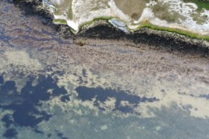 Naftos išsiliejimai Baltijoje – naujos technologijos prieš seną taršos problemą