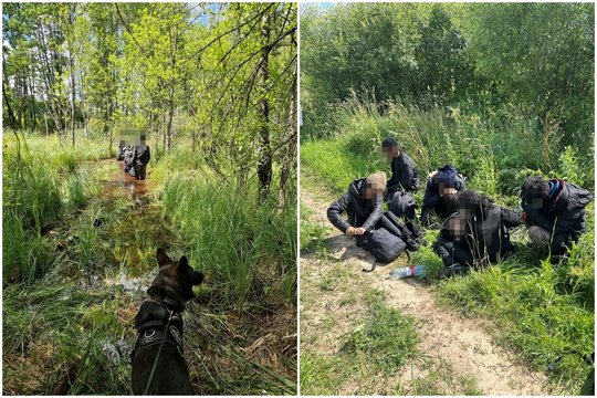 Po įtempto persekiojimo Lietuvos pasienietis su tarnybiniu šunimi Latvijoje sulaikė 6 migrantus – teko net perplaukti upę