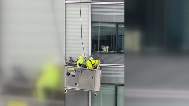 Darbininkams teko pasistengti: akylai prižiūrėjo išskirtinis kokybės vertintojas