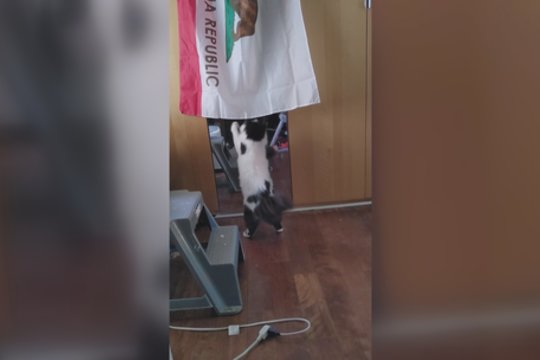 Pirmą kartą pamatęs save veidrodyje įsimylėjo iš naujo: negalėjo nustoti grožėtis