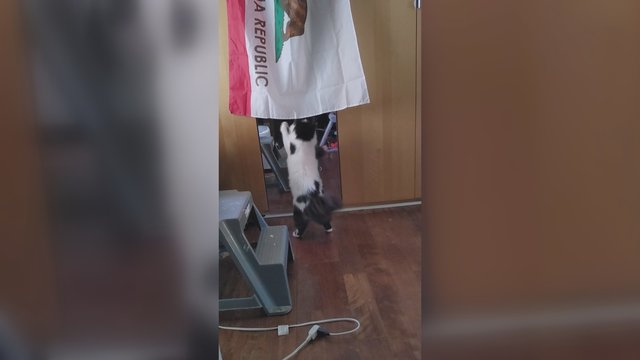 Pirmą kartą pamatęs save veidrodyje įsimylėjo iš naujo: negalėjo nustoti grožėtis