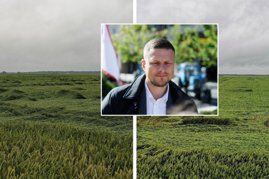 Audra nepasigailėjo nei ūkininkų, nei pasėlių: išguldė ištisus laukus