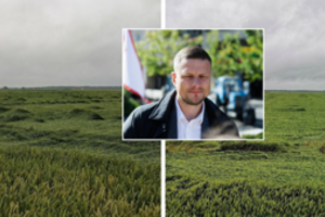 Audra nepasigailėjo nei ūkininkų, nei pasėlių: išguldė ištisus laukus