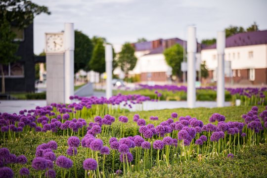 Jonaviečiai čia traukia būriais: išskirtinę vietą pamėgo akimirksniu