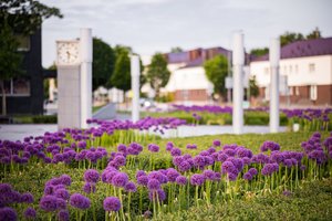 Jonaviečiai čia traukia būriais: išskirtinę vietą pamėgo akimirksniu