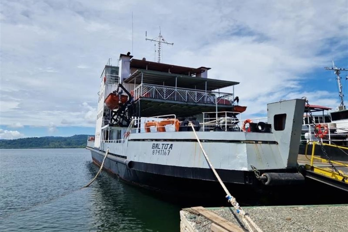 Panamoje kursuoja keltai „Baltija“ ir „Palanga“.<br>„Velofanas“ nuotr.