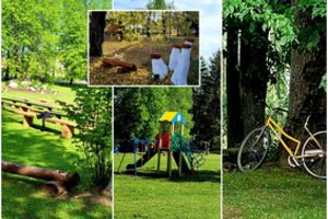 Mažo kaimo didelė širdis: Aistiškių parku didžiuojasi visa bendruomenė