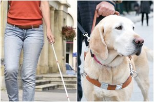 Beveik akla moteris su lydinčiu šunimi Vilniuje išgyveno košmarą: sunku patikėti, su kuo susidūrė