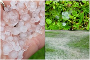 Mažeikių rajone pažiro kruša: įspėja apie nuostolius