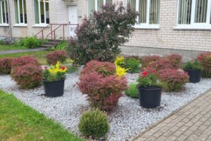 Netikėta: seniūnija, kur žmonės sustoja ne reikalų tvarkyti, o pasigrožėti