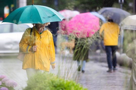 Šilumą lydės lietus: vietomis su perkūnija