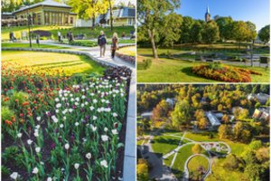 Ypatingas sodas Birštone garsėja sveikatingumo ritualais: pranoksta visus lūkesčius