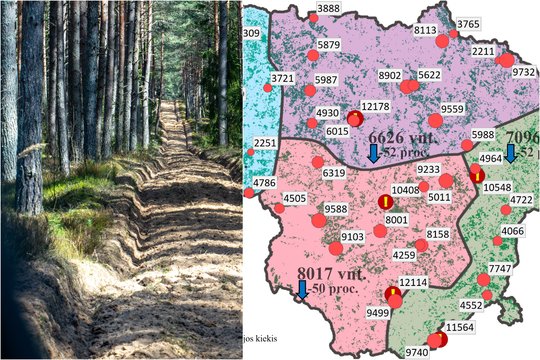 Pasitikrinkite: tarnyba paskelbė žemėlapį apie kenkėjų paplitimą Lietuvos miškuose