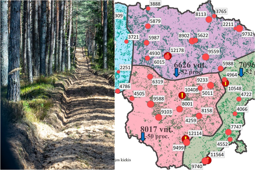 Pasitikrinkite: tarnyba paskelbė žemėlapį apie kenkėjų paplitimą Lietuvos miškuose