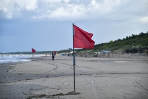 Lenkai kelia raudonas vėliavas: Baltijos jūroje aptiko pavojingus dumblius