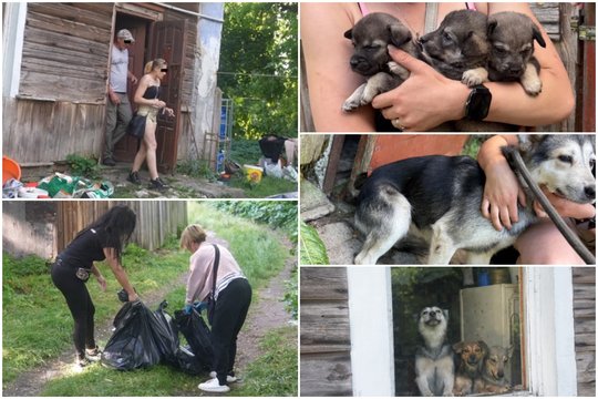 Kraupi drama, sukrėtusi visą Lenkiją: kol vyras girdė šunį degtine, sugyventinė filmavo jo agoniją