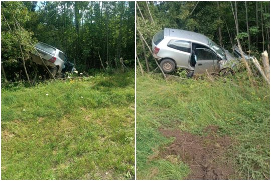 Girto vairuotojo „Honda“ Anykščių r. nuo kelio nuskriejo į krūmus