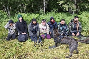 Savaitgalį 220 migrantų mėgino neteisėtai patekti į Latviją iš Baltarusijos