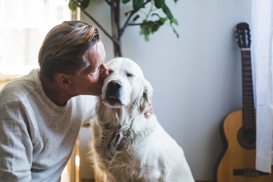 Šuo pakeitė spalvą – ir išgelbėjo vilnietį nuo galėjusios brangiai kainuoti nelaimės namuose