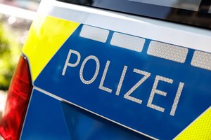 Nuteistas penkiolikmetis, planavęs išpuolį Vienos traukinių stotyje