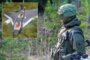 Mečys Laurinkus. Ką parodė į Lietuvą iš Baltarusijos įskridusi „Gerbera“