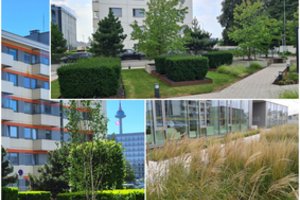 Net skubėdamas nepraeisi pro šalį: tarp Vilniaus daugiaaukščių – kažkas ypatinga