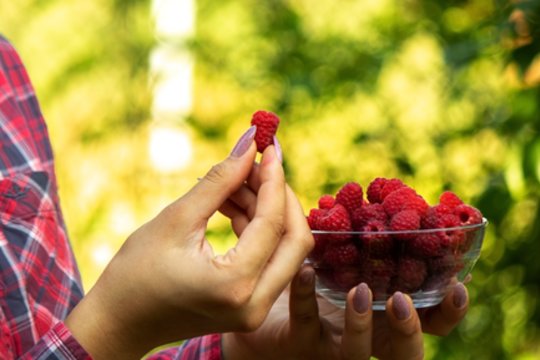 Gydytojas  įvardino sveikatai palankiausią vaisių – ir tai nėra avokadas
