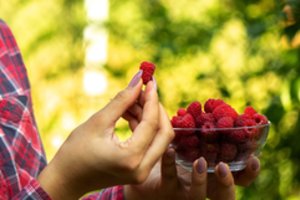 Gydytojas  įvardino sveikatai palankiausią vaisių – ir tai nėra avokadas