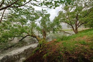 Vienas gražiausių takų Lietuvoje: čia metų laikai keičiasi tiesiog einant