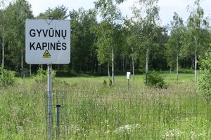 Gyvūnų kapinėms Klaipėdoje – žalia šviesa: atskleidė, kiek skundų dėl nelegalaus gyvūnų laidojimo sulaukiama kasmet