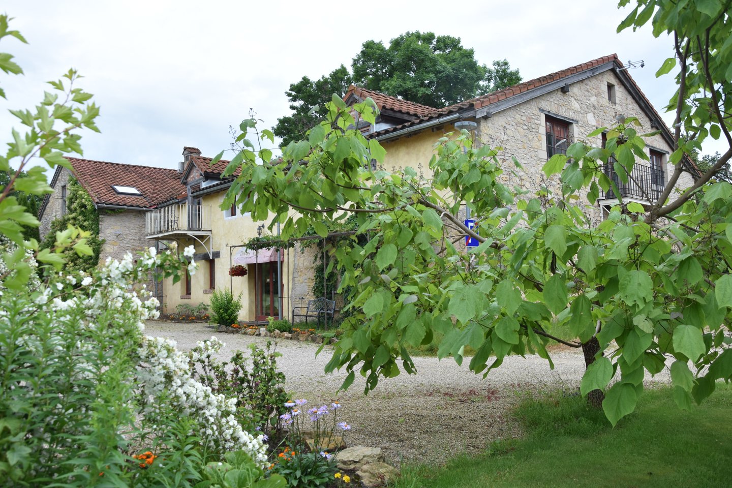 Kuoknesė.<br>A.Srėbalienės nuotr.