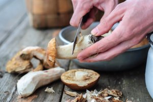 „Dievų maistas“ arba ko nežinojote apie grybus: padeda stabdyti net ir pačias baisiausas ligas