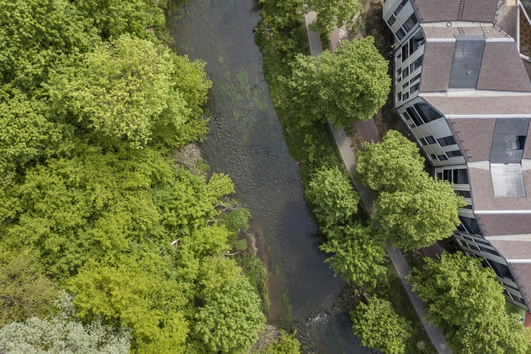 Survey reveals the dream view from the window: how much are Lithuanians willing to pay for it?