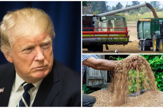 Šių metų derlius gali būti rekordinis, tačiau koją kiša ne gamtos pokštai: atsakė, kuo dėtas D. Trumpas