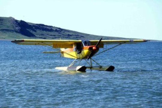 Incidentas JAV: žymios politikės vyras žuvo nukritus briedžio mėsa perkrautam lėktuvui