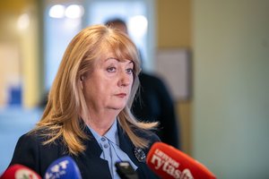 Po ilgos tylos prabilo V. Blinkevičiūtė