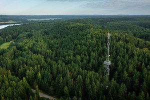 Miške senka telefono baterija? Patarė, ką daryti, kad neliktumėte be ryšio