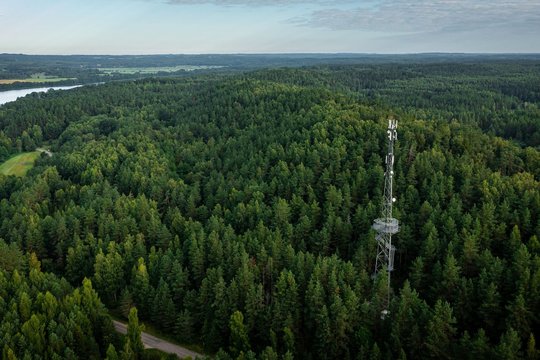 Miške senka telefono baterija? Patarė, ką daryti, kad neliktumėte be ryšio